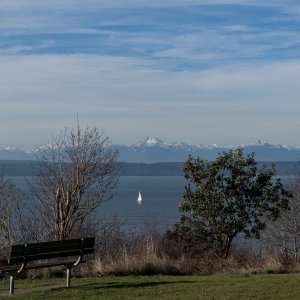 IMG_0835.jpg