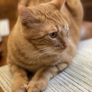 IMG_0506.jpeg