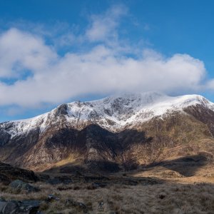 _DSC6687.jpg