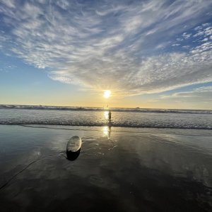 2924AA05-30A6-46F0-A86A-051874E6C02C.jpeg