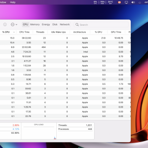 Screen Shot 2020-12-30 at 1.52.17 PM.png