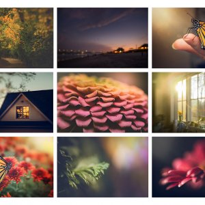 top nine msc copy.jpg