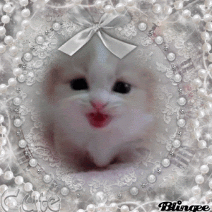 7A2D7BC3-789C-4DB0-AE37-F04DE3A8FB41.gif