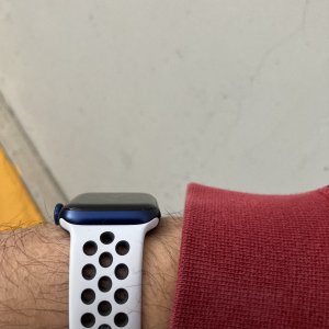 IMG_1004.jpeg