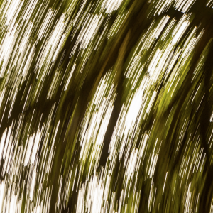 Screenshot 2021-01-02 at 17.25.43.png