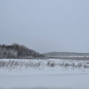 C46FF75F-F970-40C4-B2D4-46A6B423766D.jpeg