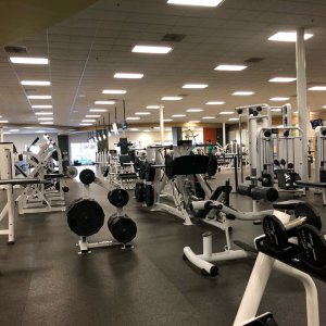 IMG_6195.jpeg