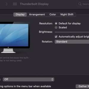 Screen Shot 2021-01-04 at 7.26.13 PM.jpg