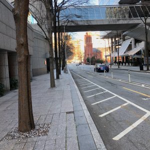 IMG_6198.jpeg