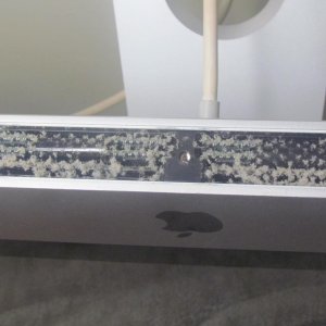 IMG_1665 (2) copy.jpg