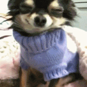 smiling.gif