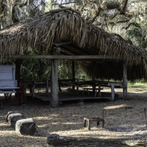 Lake Kissimmee SP - 2500pz-5.JPG