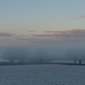 _DSC6204.jpg