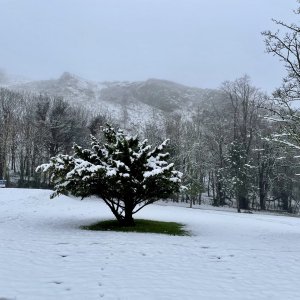IMG_9685.jpg