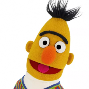 bert.png