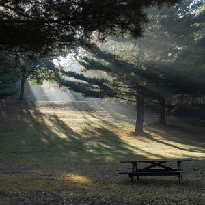 Picnic table light-2500px.jpg