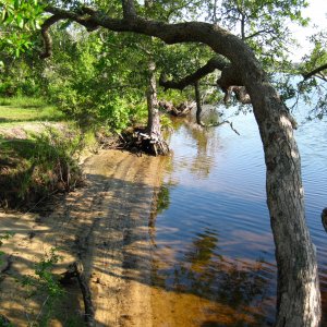 ochlockonee_state_park_river.jpeg