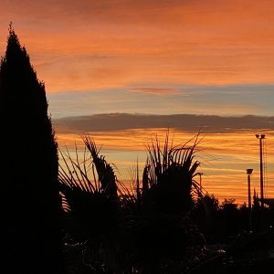 E0DE853B-B504-4F7C-9C6E-6B32AFB86A7E.jpeg