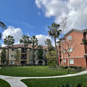 IMG_0124 2.jpg