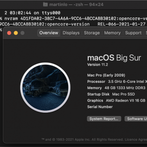 Screenshot 2021-02-02 at 03.05.25.png