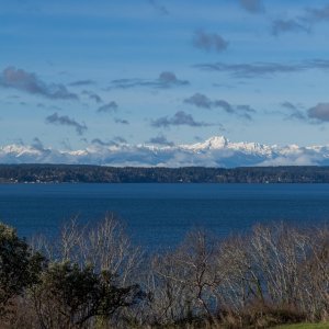 IMG_0953.jpg