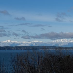 IMG_0954.jpg