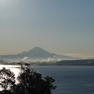 IMG_0862.jpg