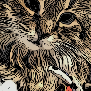 B38AB703-A703-462F-BF46-A0374AB0DF24.png