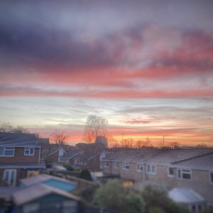IMG_8545.JPG