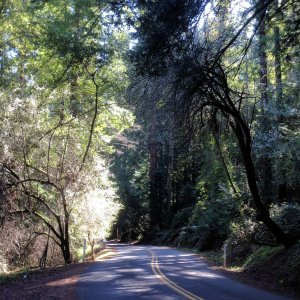 Pinhurst  Rd.jpg