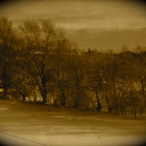 IMG_0074 (6).jpg
