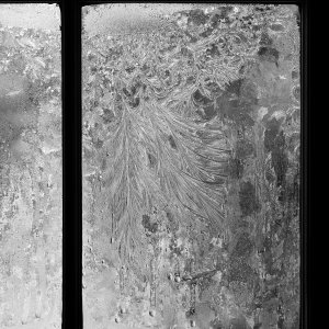 L1001627.jpg