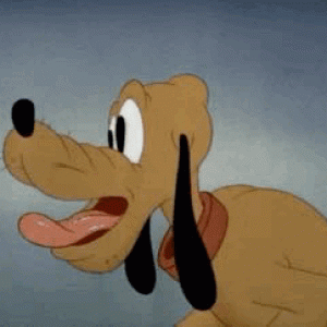 GIF-2021-02-13-03-30-27.gif