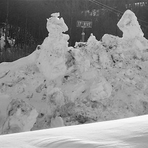 07_105WinterStill.jpg