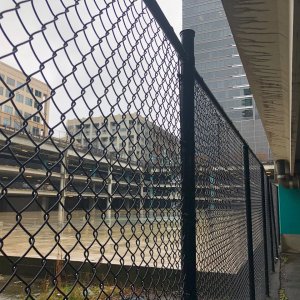 IMG_6718.jpeg