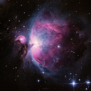 The Orion Nebula smallPL.png