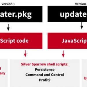 silver-sparrow-overview-640x320.jpg