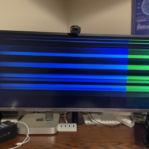 DED6BB13-5C82-40ED-B927-E2D94F840A2F.jpeg