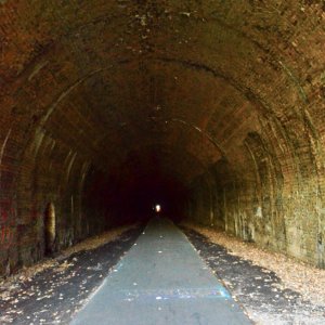 Allegheny River Trail 1 resize.jpg