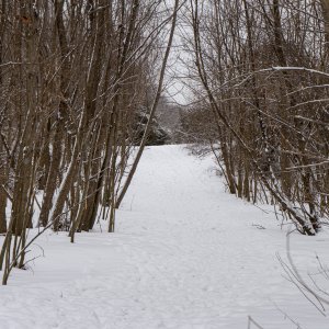 DSC03455.jpg