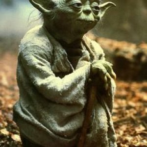 b27b09ca1b1abb4913bc83fba6d365d4--yoda-speak-yoda-funny.jpg