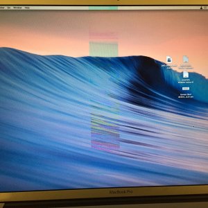 Photo 26-02-2019, 10 48 07 PM.jpg