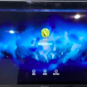 Screen Shot 2019-03-02 at 12.10.29 PM.png