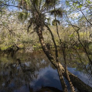 Little Manatee SP - 2500px-3.JPG