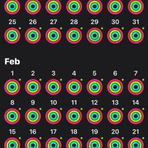Screenshot 2021-03-01 at 12.03.02.jpeg