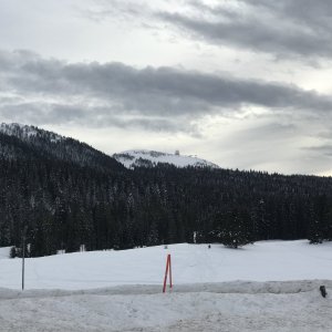 IMG_4422.jpeg