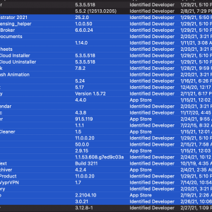 Screen Shot 2021-03-03 at 11.03.39 AM.png