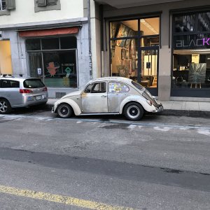 IMG_4440.jpeg
