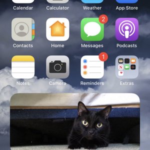 homescreen.jpg