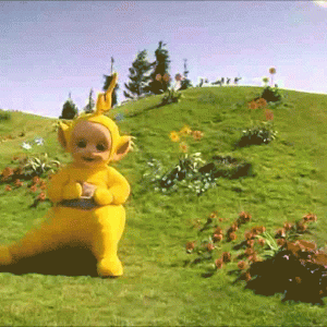 camera.gif